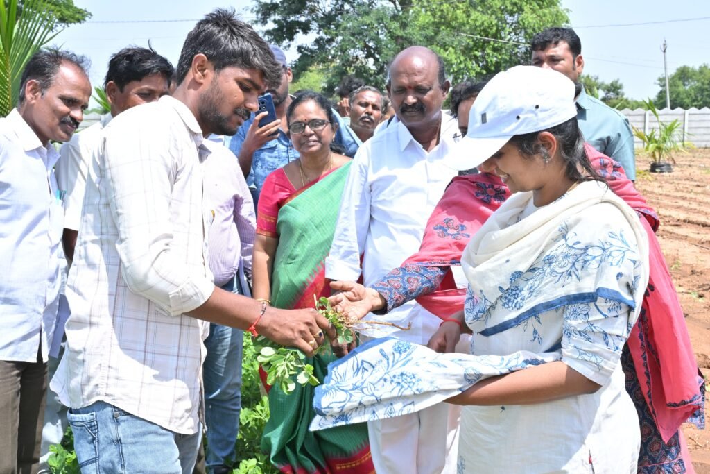 *కర్నూలు, 17-06-2026* *దేవనకొండ మండల కేంద్రంలోని లింగన్న అనే రైతు 16 ఎకరాల్లో సాగు చేస్తున్న హైబ్రిడ్ కొబ్బరి తోటను, మిశ్రమ మరియు అంతర పంటల విధానాలను పరిశీలించిన జిల్లా కలెక్టర్ డా.ఏ.సిరి గారు* *మిశ్రమ మరియు అంతర పంటల విధానాలతో రైతులకు ఆదాయం* *అంతర పంటల సాగు, మైక్రో ఇరిగేషన్ సాగును ప్రోత్సహించాలని అధికారులను ఆదేశించిన జిల్లా కలెక్టర్ గారు*